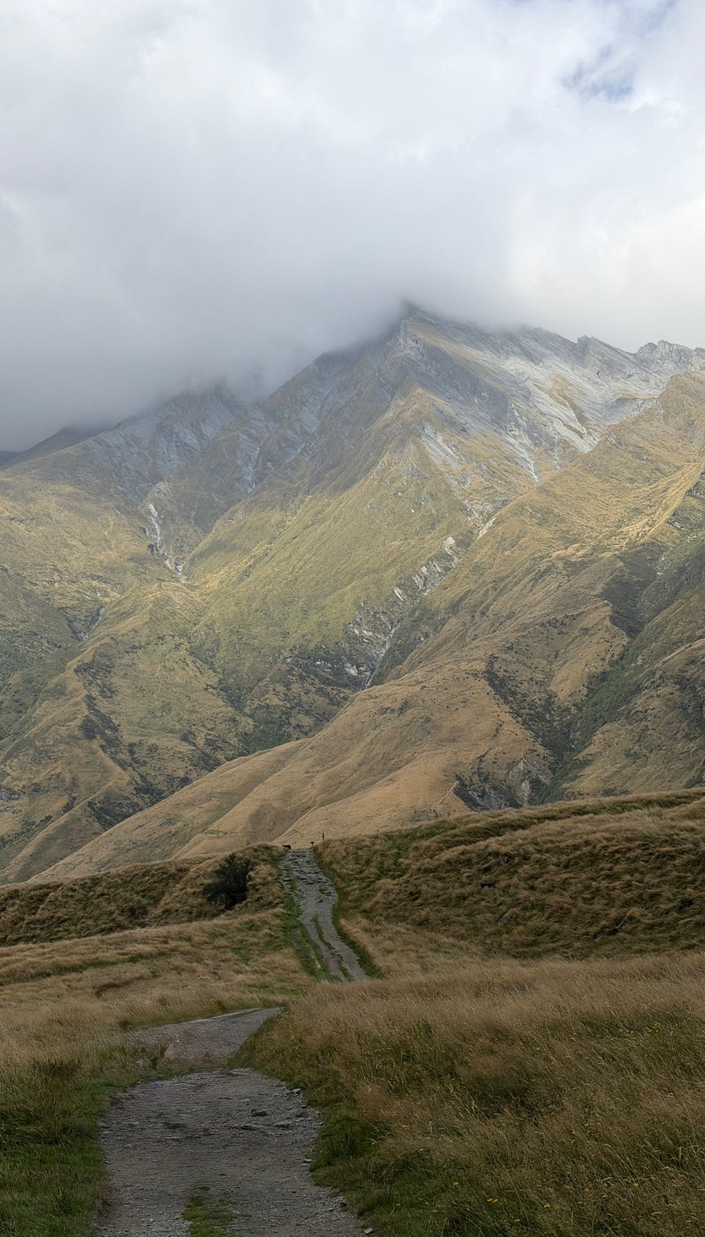 The reference photo taken on our New Zealand hike, looking up at Shark Tooth mountain.