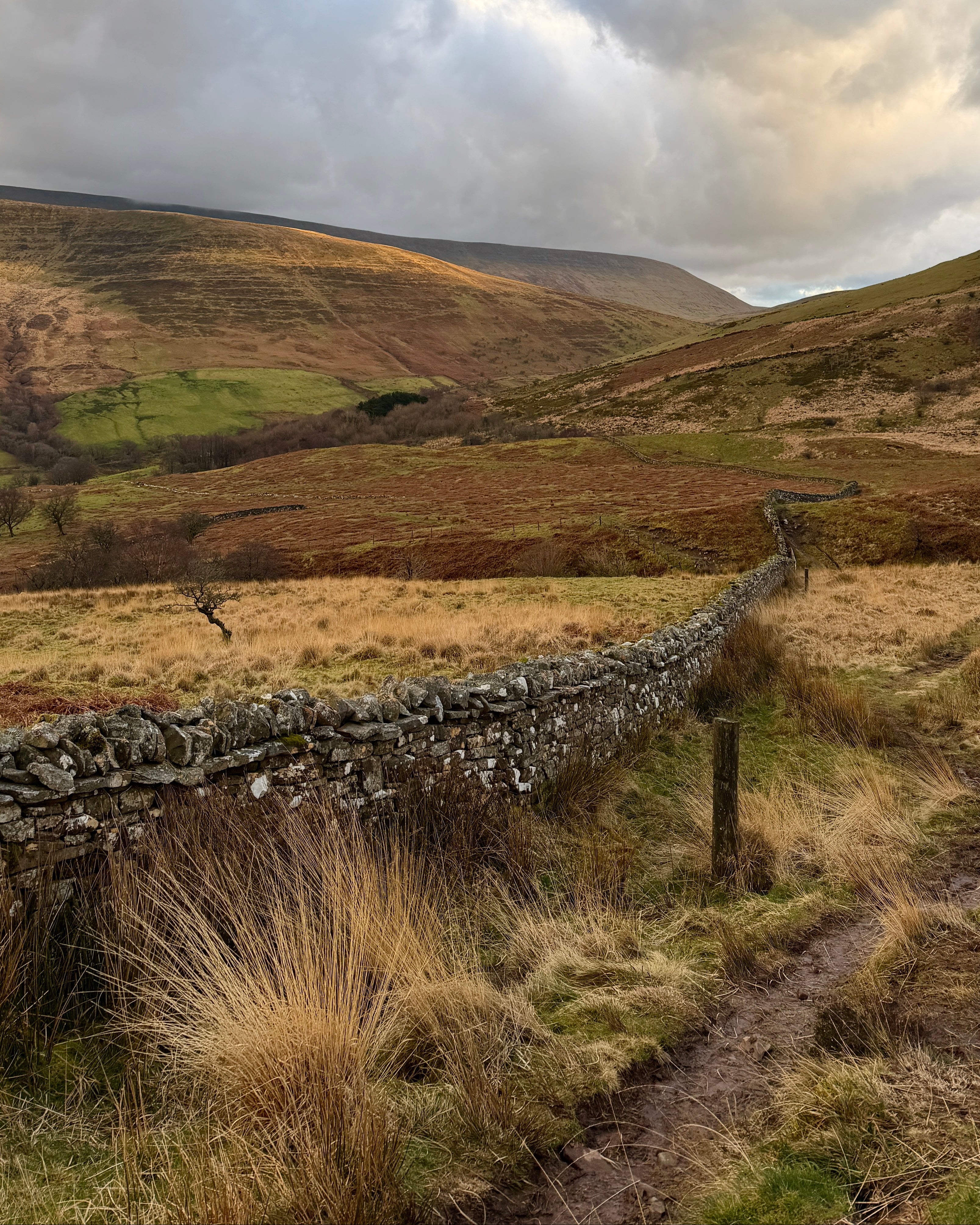 A scenic landscape photograph in Wales of rolling grassy hills under a dramatic cloudy sky, with a stone wall and dirt path in the foreground.